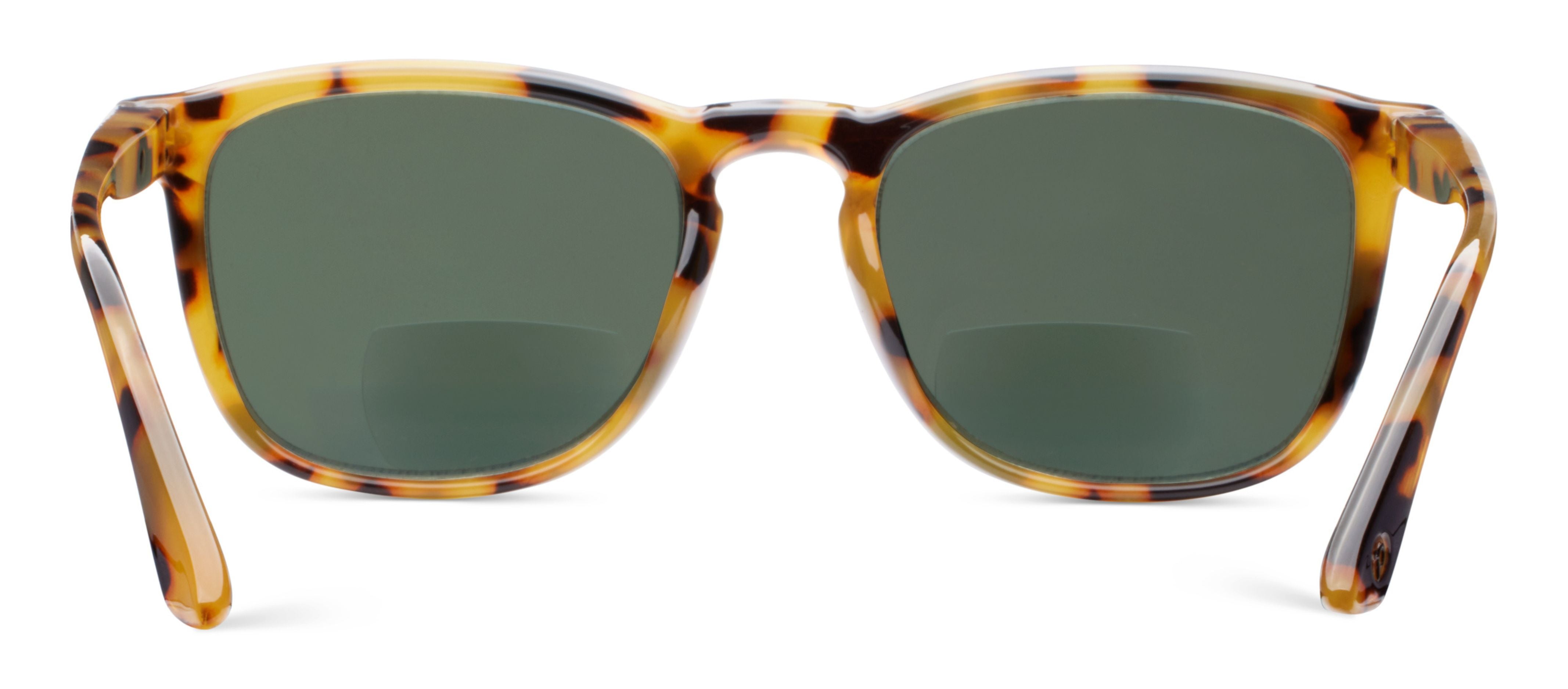 Solstice sunglasses denver online