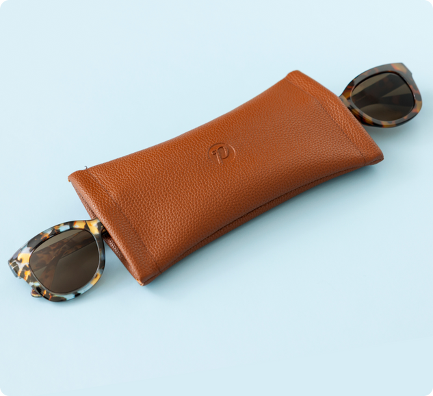 two sunglasses in a leather eyewear case